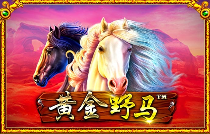 博奥体育官网